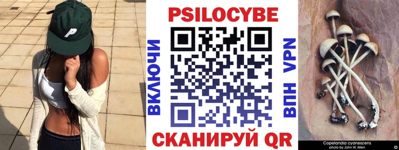 блэк спрут ссылка  Кукмор  Псилоцибиновые грибы прущие грибы 